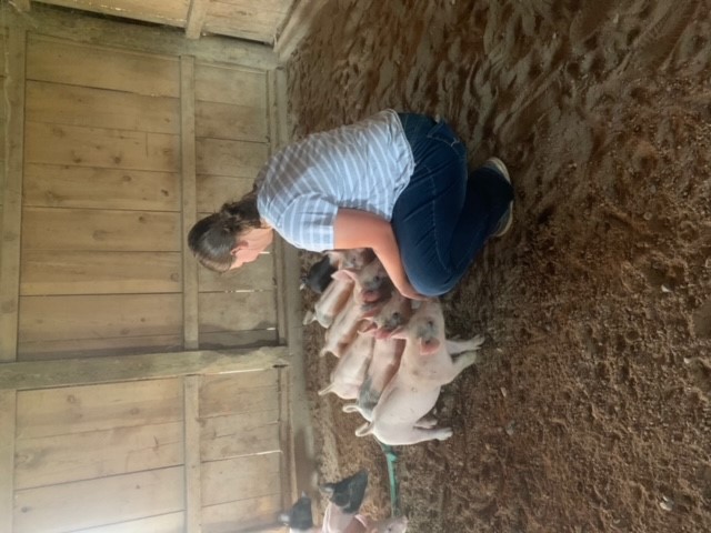 A young woman feeds five piglets from her hand in a barn.