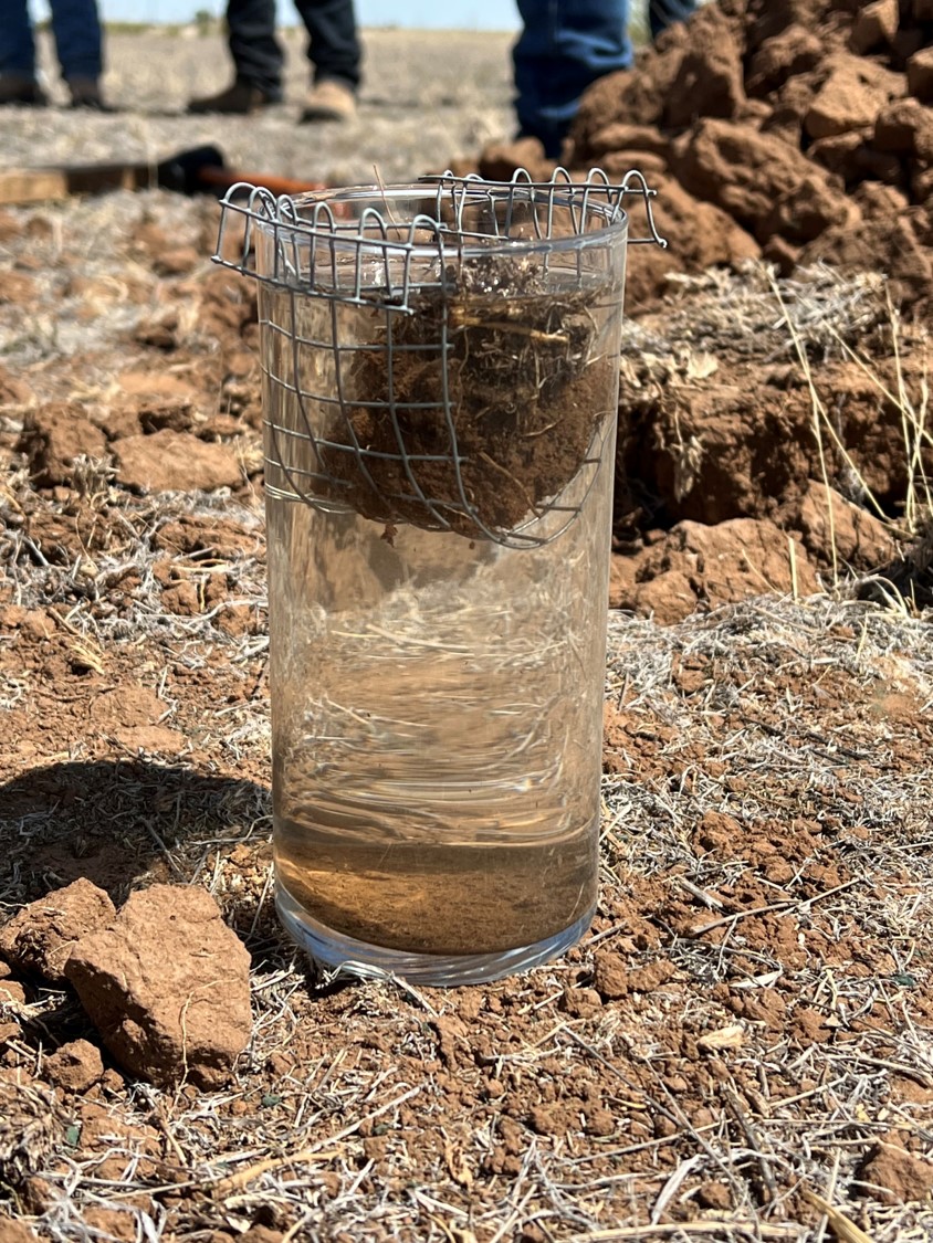 A clump of soil sits in mesh submerged in water inside a glass jar