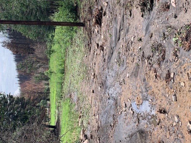 Runoff debris – mud, rocks – in foreground, with forest trees in background