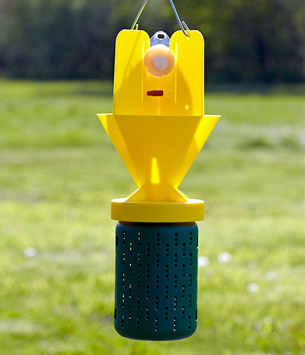 Beetle trap that has a yellow top and a green net like bottom.