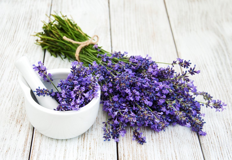 Un manojo de lavanda violeta con largos tallos verdes atados con hilo tostado se encuentra sobre una mesa de color marrón claro. Junto al manojo hay un mortero blanco con hojas de lavanda.