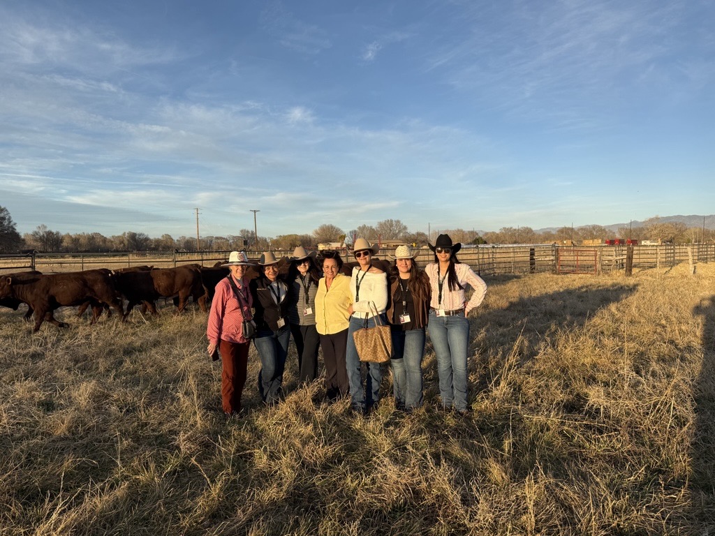 Six members of Mujeres Ganaderas de México (MUGAM), an organization of cattlewomen from Chihuahua, Mexico, stand with a female ranch owner. Tall grass is in the foreground and cattle are in the background. 