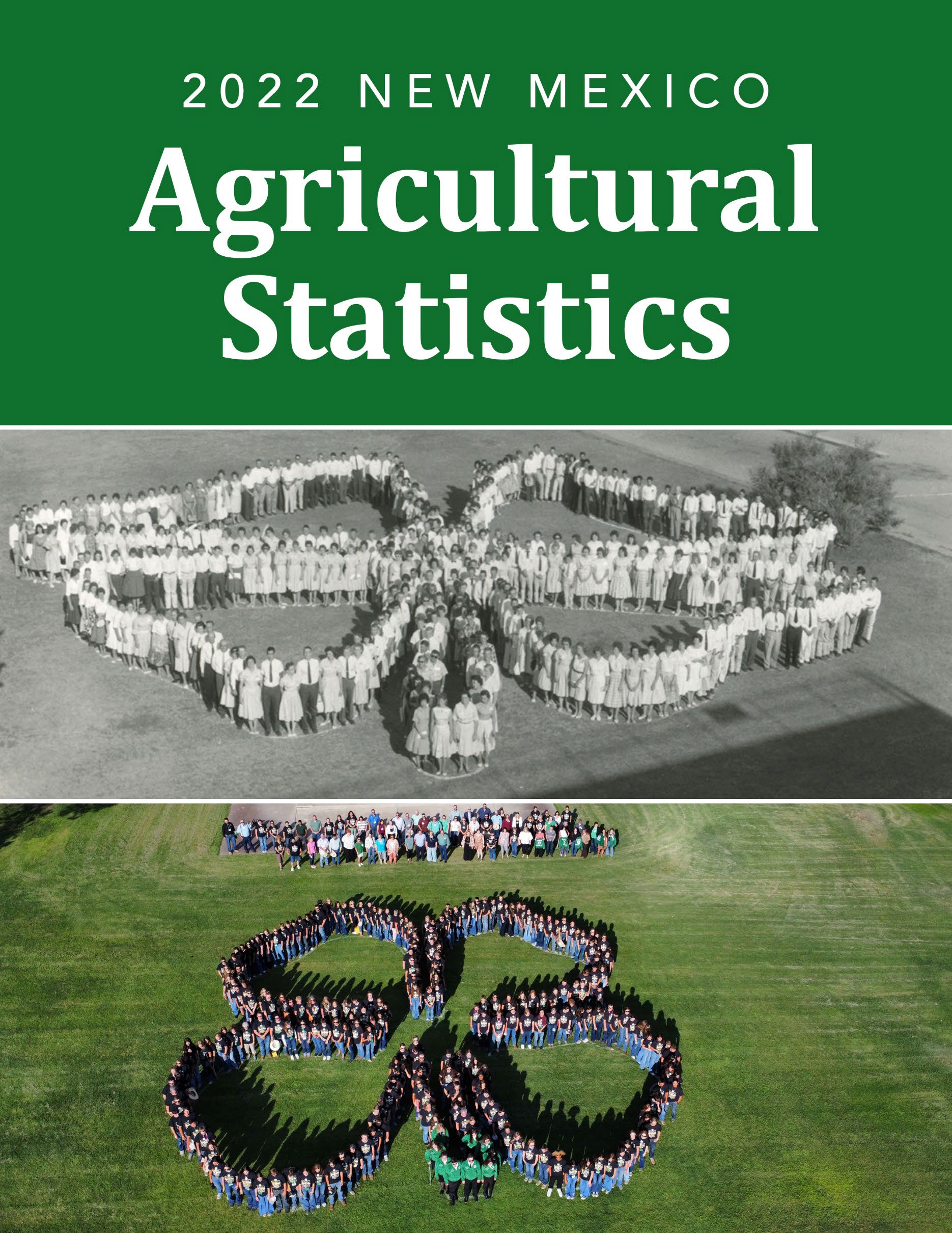 clickable cover of 2021 Ag Statistics Bulletin.
