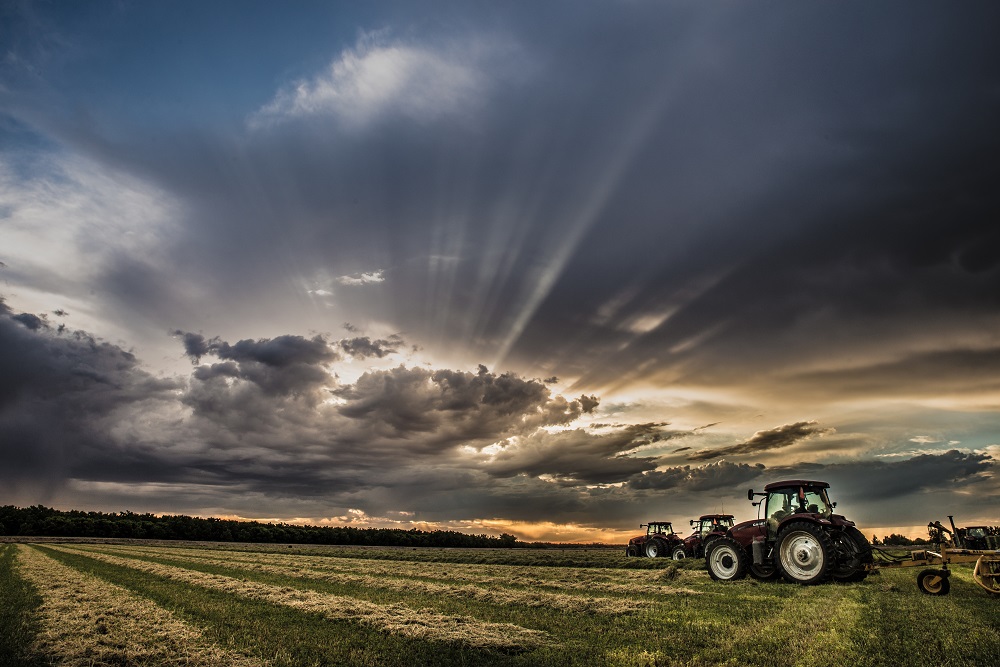 Red tractors are plowing a wheat field as the sun goes down between the clouds. 