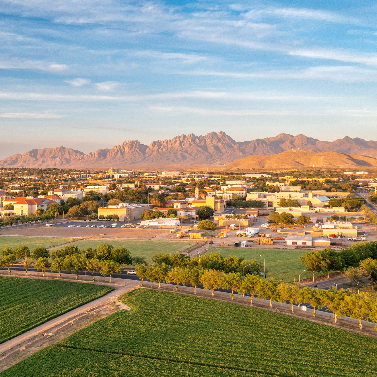 an aerial view of Las Cruces, New Mexico with the vibrant green fields and urban buildings of New Mexico State University in the foreground. In the background, the Organ Mountains rise dramatically under a clear blue sky, illuminated by sunlight