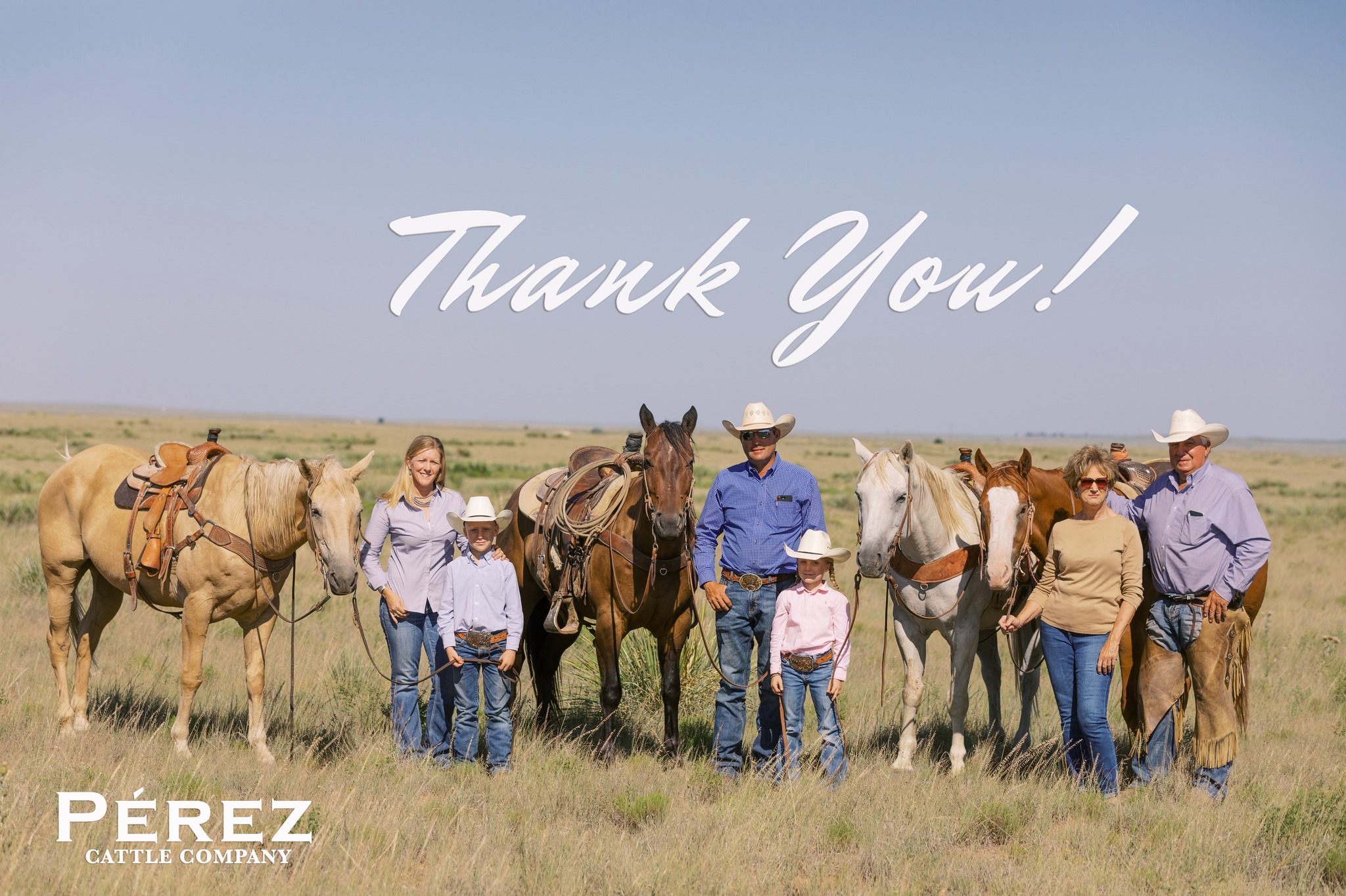 A "thank you" card with a family posing with horses in a field.