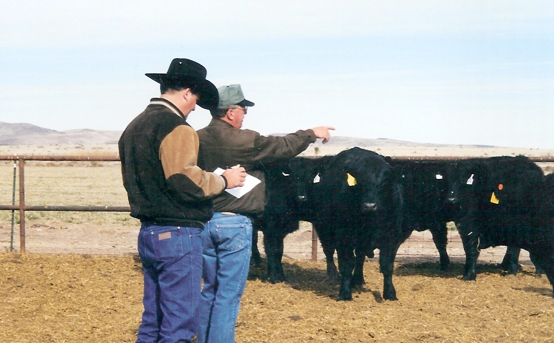 Two ranchers observe their cattle on an open plain in the New Mexico countryside.