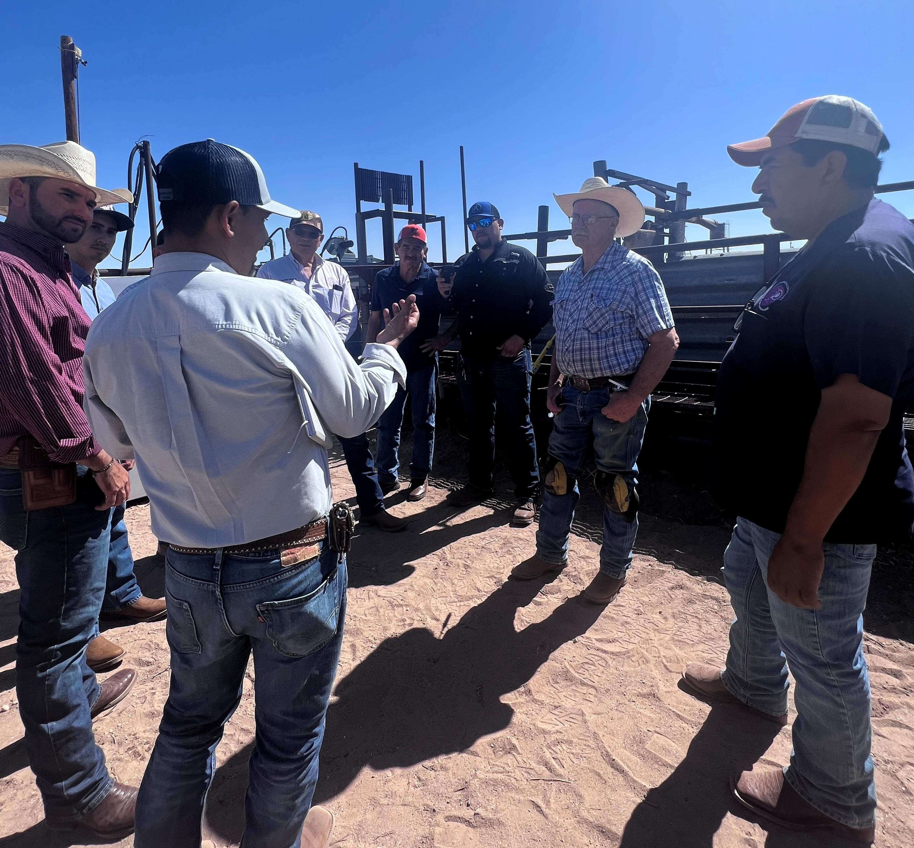 Grupo de hombres discute junto a un corral de ganado.