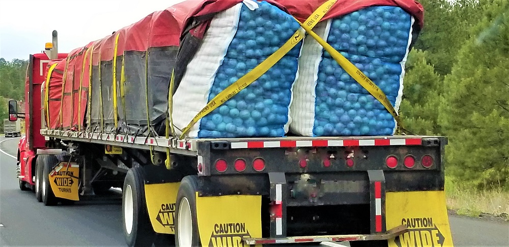 A red semi-truck carrying produce in blue and white bags being held down with red tarp and yellow straps