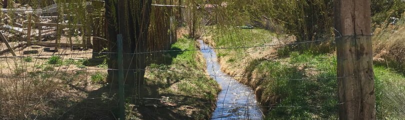 a flow of water, or acequia, passing through trees.