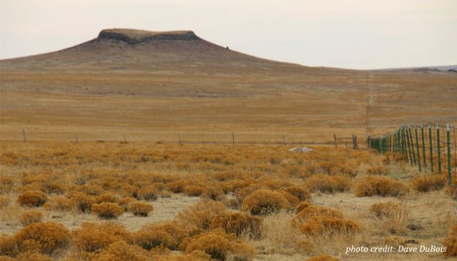 open head land that shows effects of drought. 