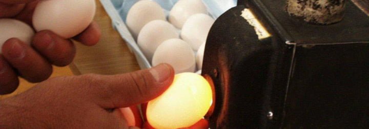 a hand holding an egg up to a light with eggs on a table behind. 