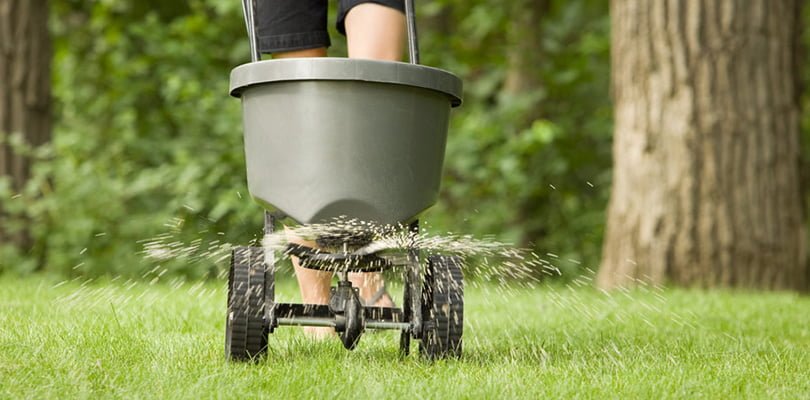 a person using a grey broadcast spreader to distribute seeds to a green lawn. 