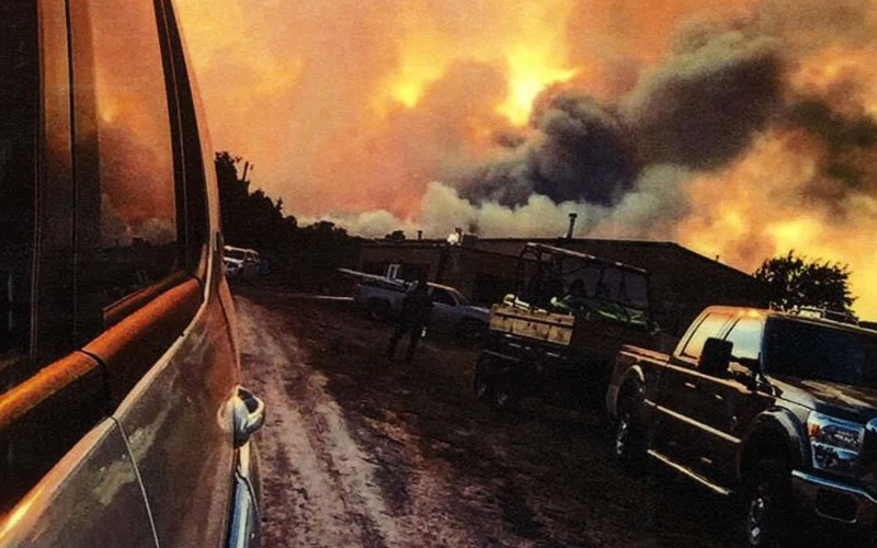 The view from a vehicle driving away from a building while a wildlife burns trees in the background. 